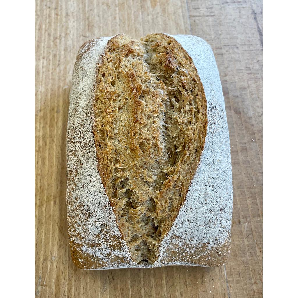 Epeautre (500g) bio