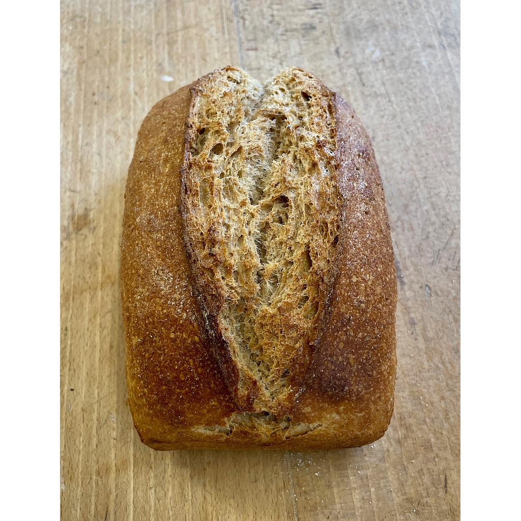 Froment (1kg) bio